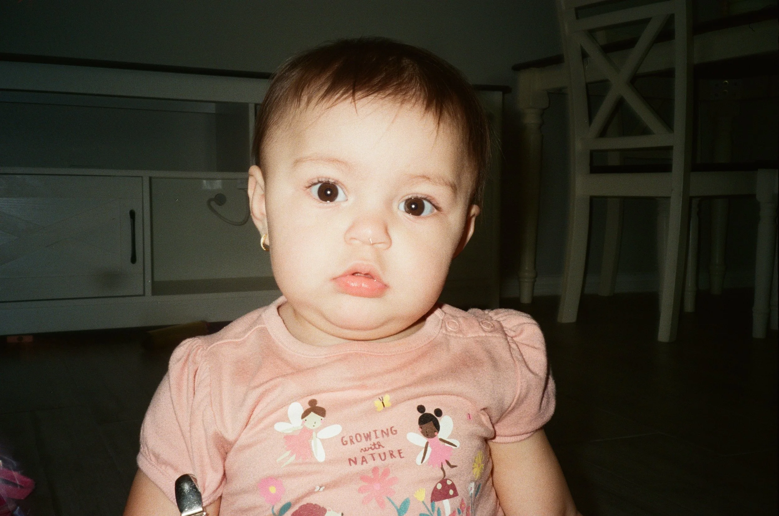 Taken on film in summer of 2025. 