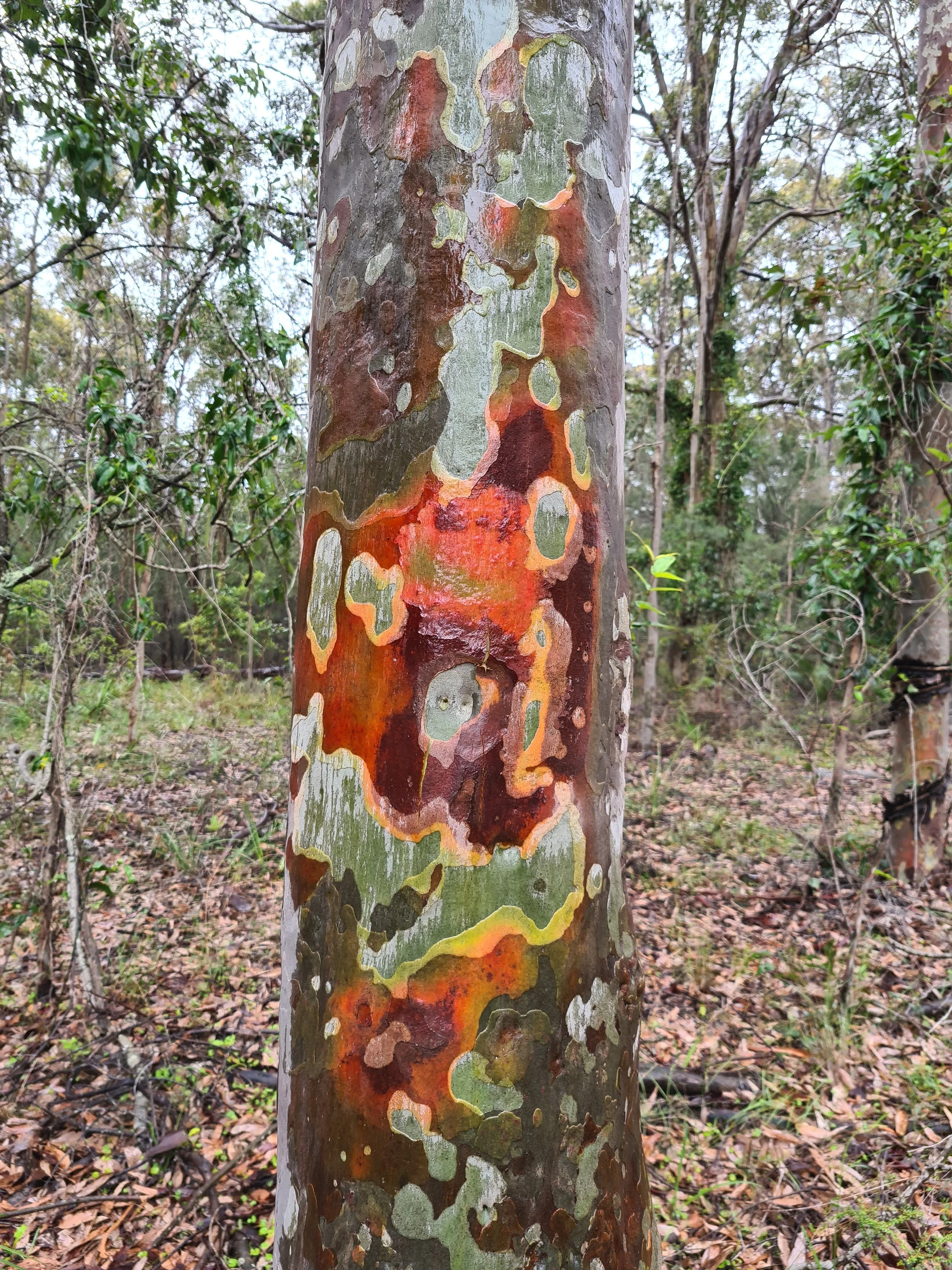 20201105_154155.jpg