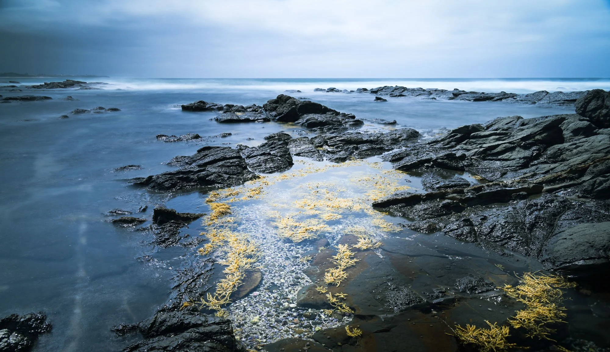 Coastal scene with dark rocks and ocean waves under a cloudy sky, with yellow seaweed on the wet sand.