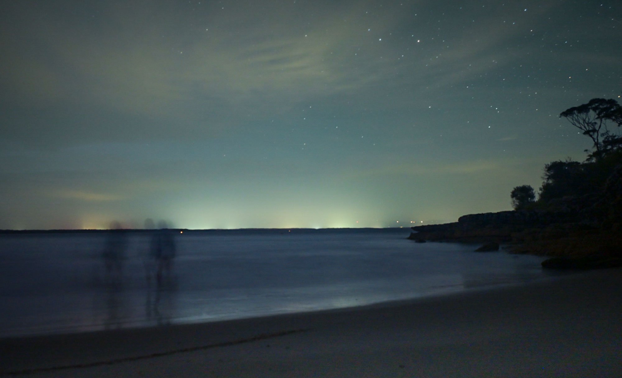 Nighttime coastal scene with calm water, silhouettes of rocks, trees on the right, and a starry sky with faint cloud streaks.