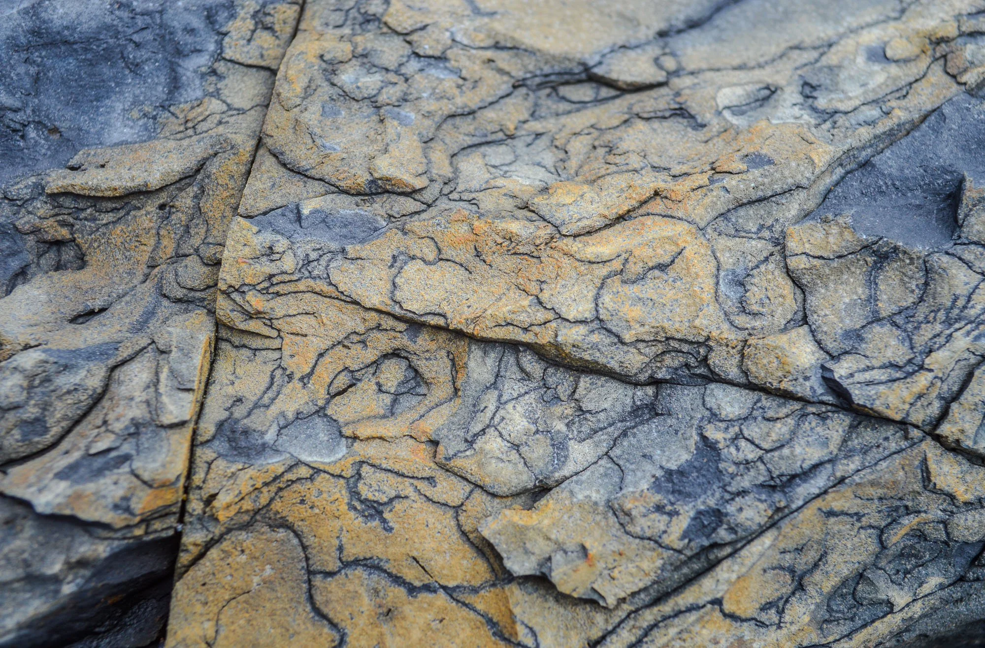 Untitled-188.jpg