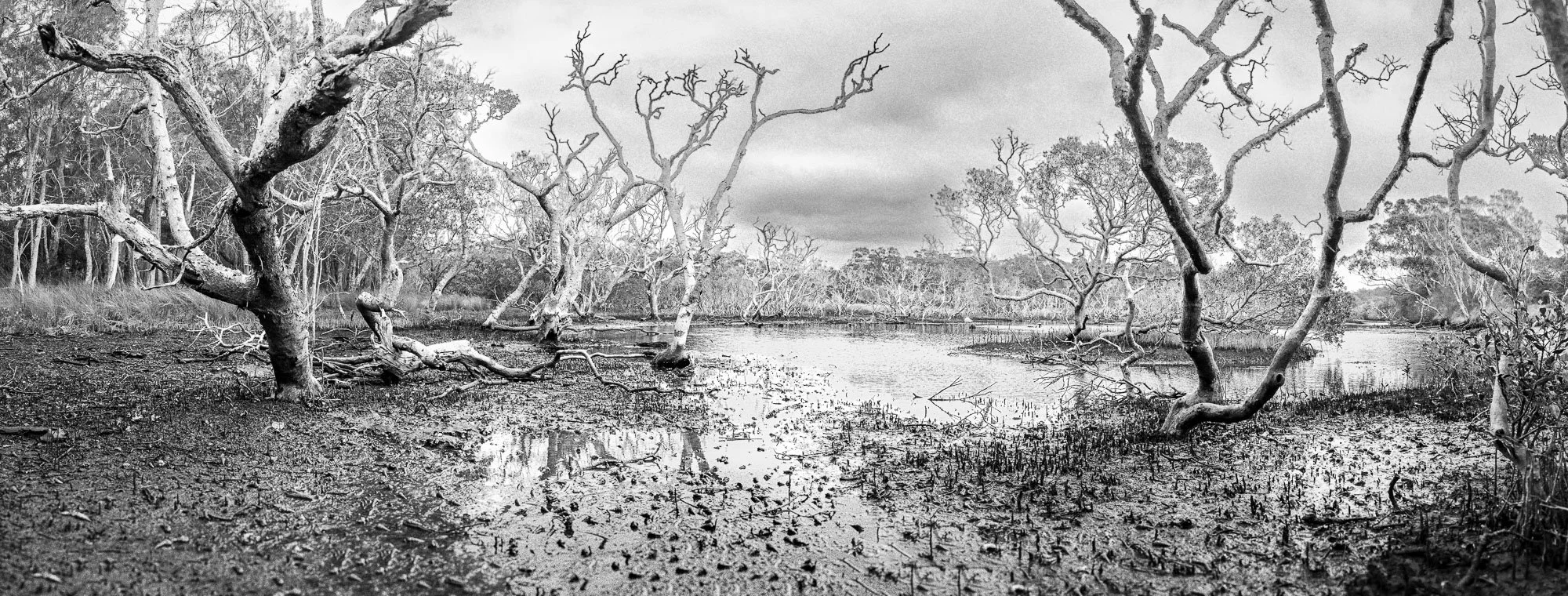 Untitled-194.jpg