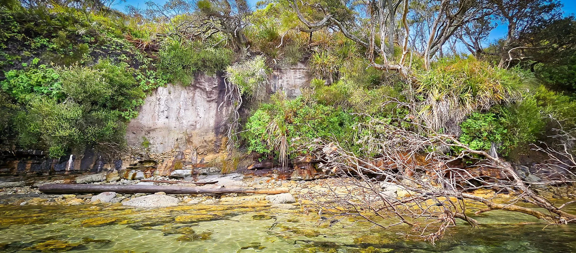 A natural riverside scene featuring clear water, a rocky shore, green bushes, and trees growing on a steep rocky ledge against a blue sky.