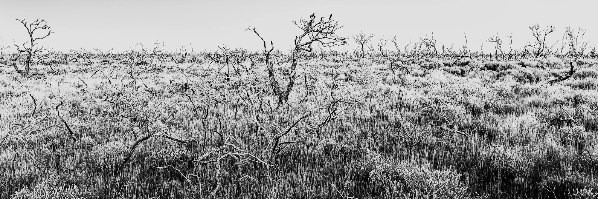 Untitled-121.jpg