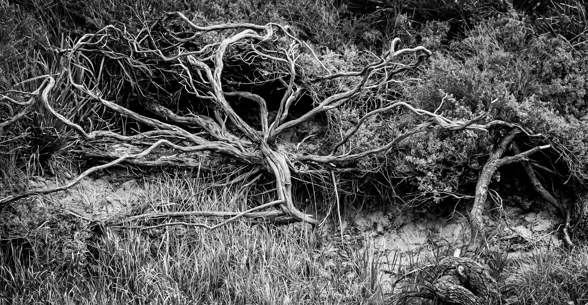 Untitled-136.jpg