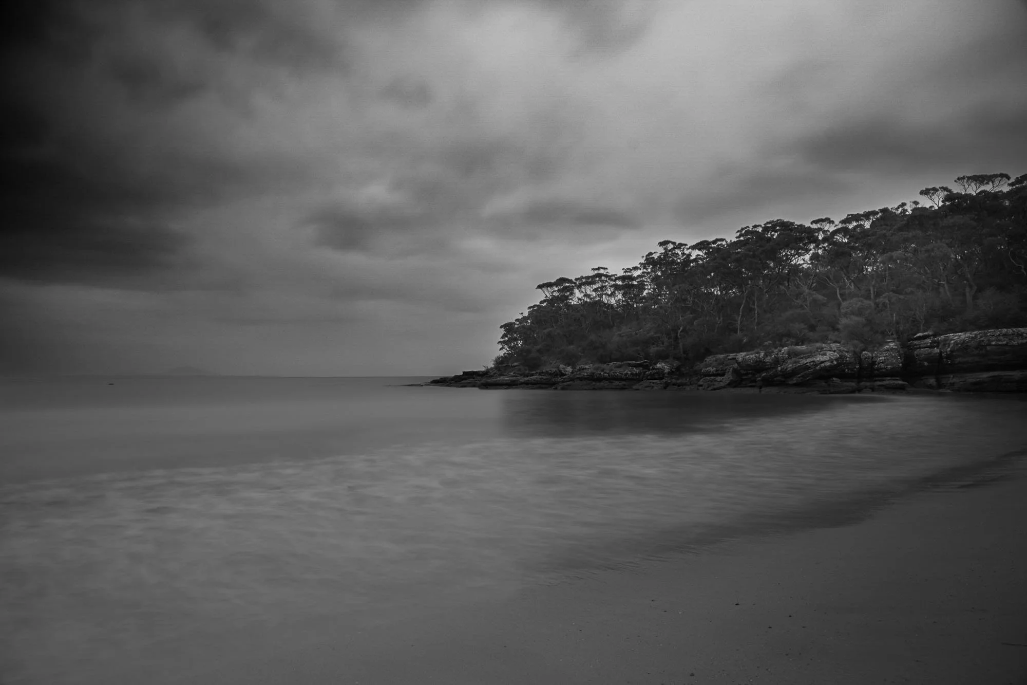 Black and white image of a rocky shoreline with dense trees on a hillside, calm water in the foreground, and cloudy sky overhead.