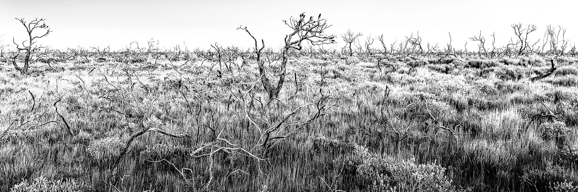 Untitled-182.jpg