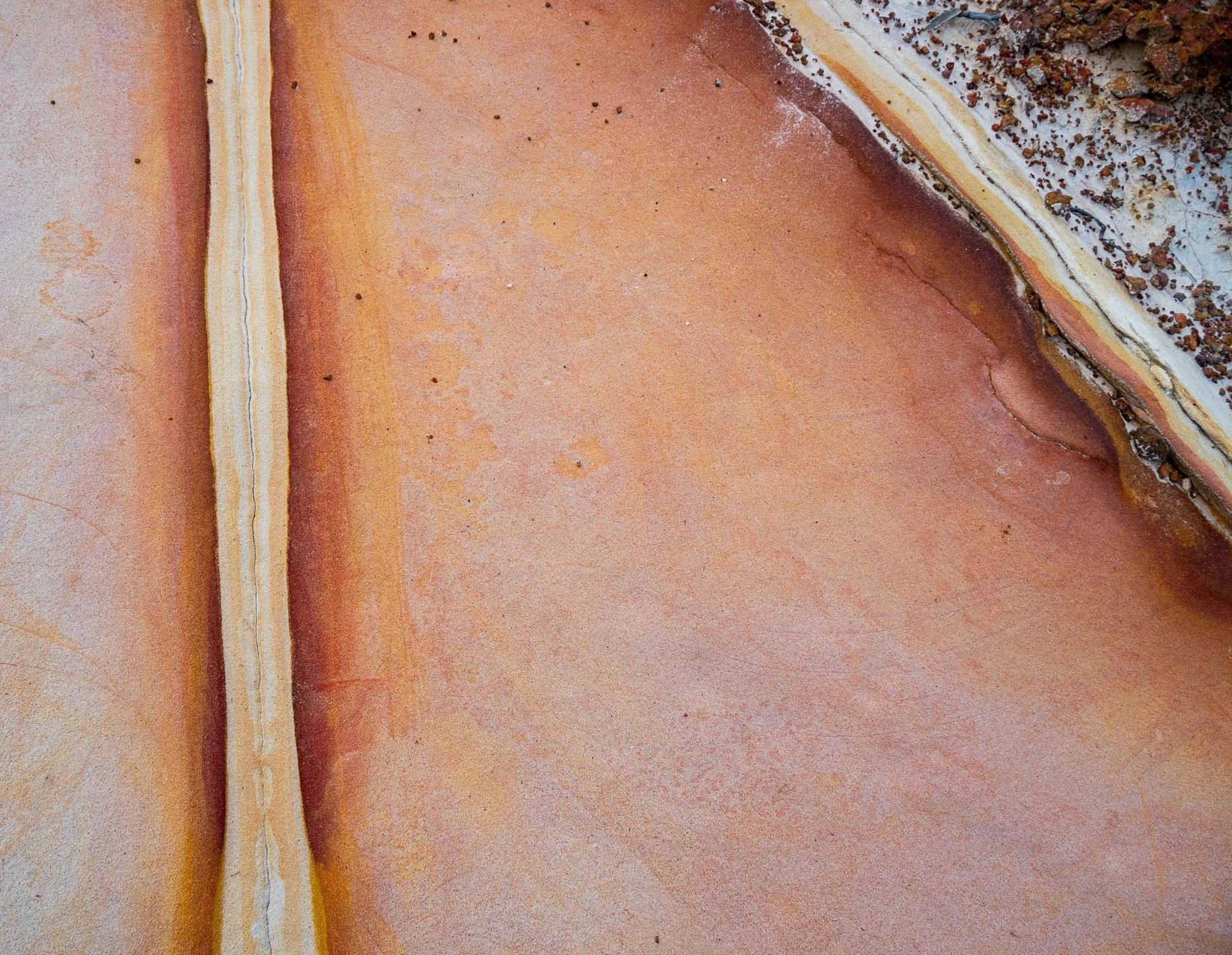 Untitled-175.jpg
