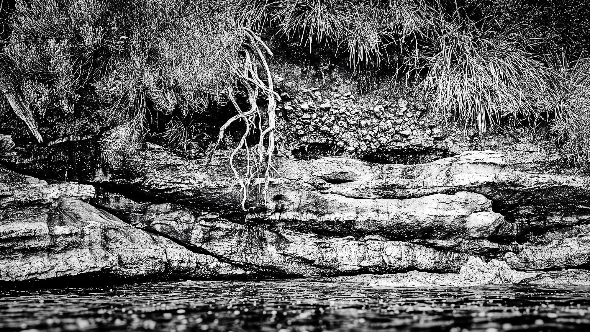 Untitled-124.jpg