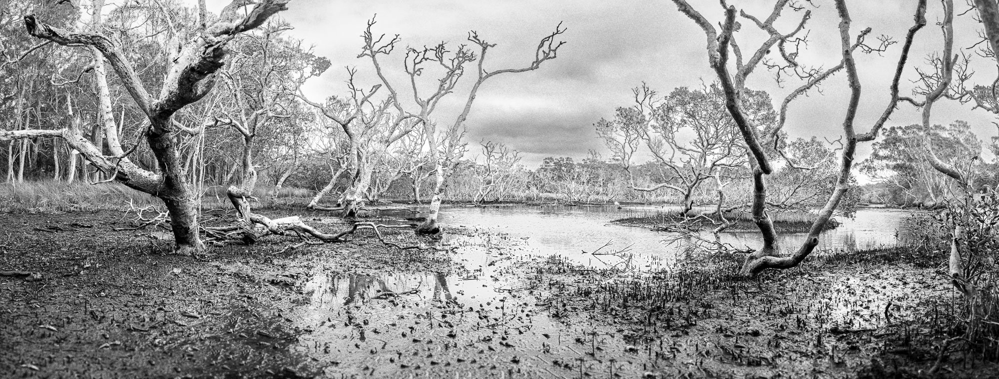 Untitled-193.jpg