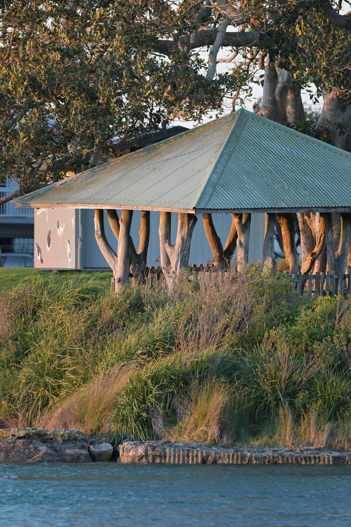 A house with a green metal roof surrounded by trees and coastal vegetation, with water in the foreground.