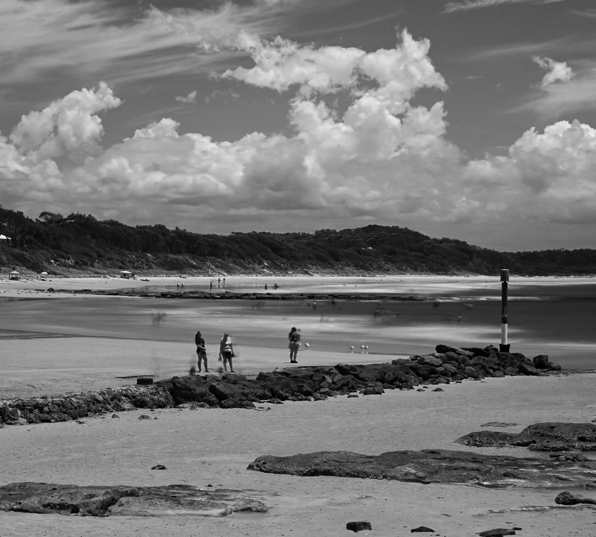 Black and white photo of a beach with people walking near the shore and seagulls. There are trees and clouds in the sky.
