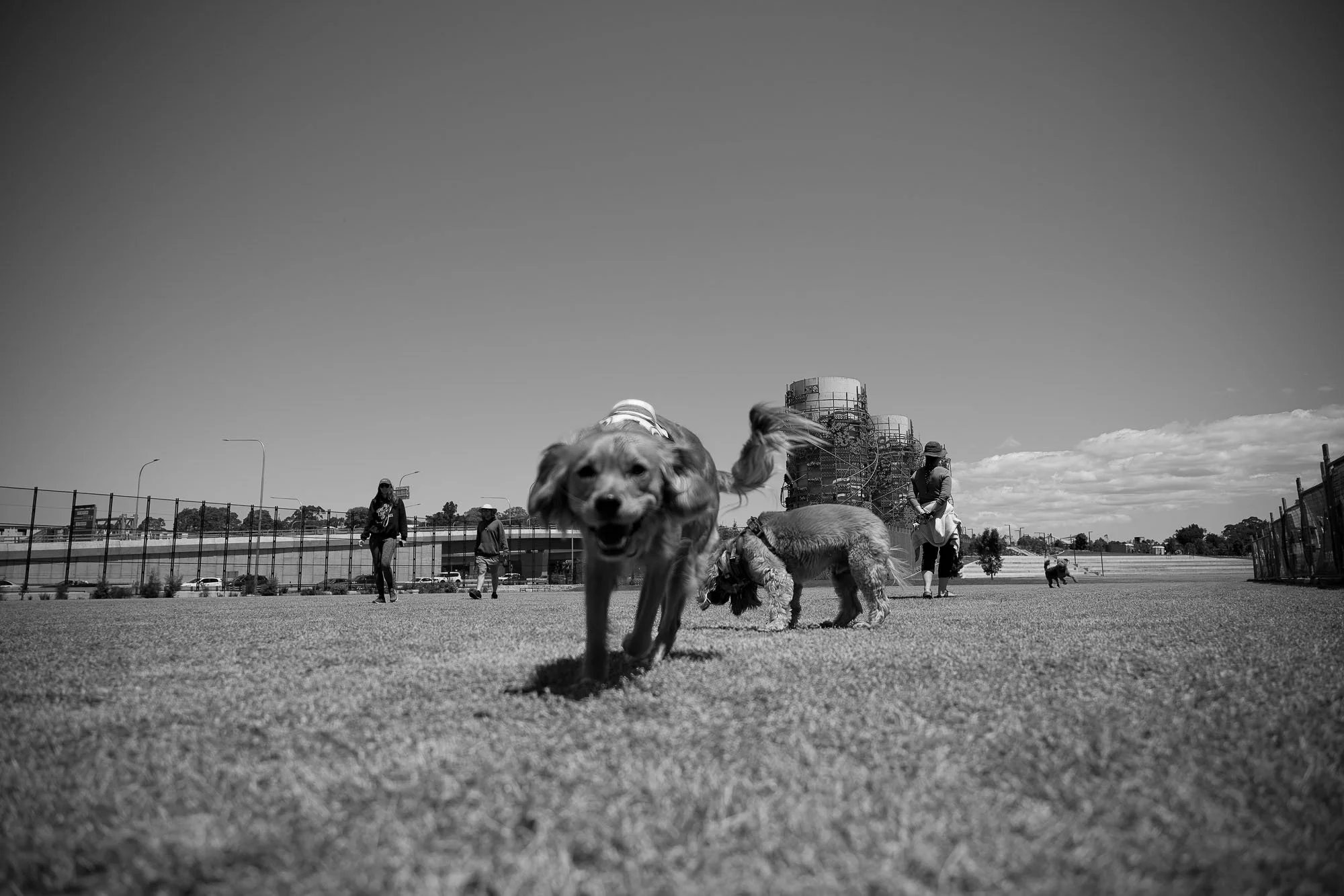 03062026-27.jpg