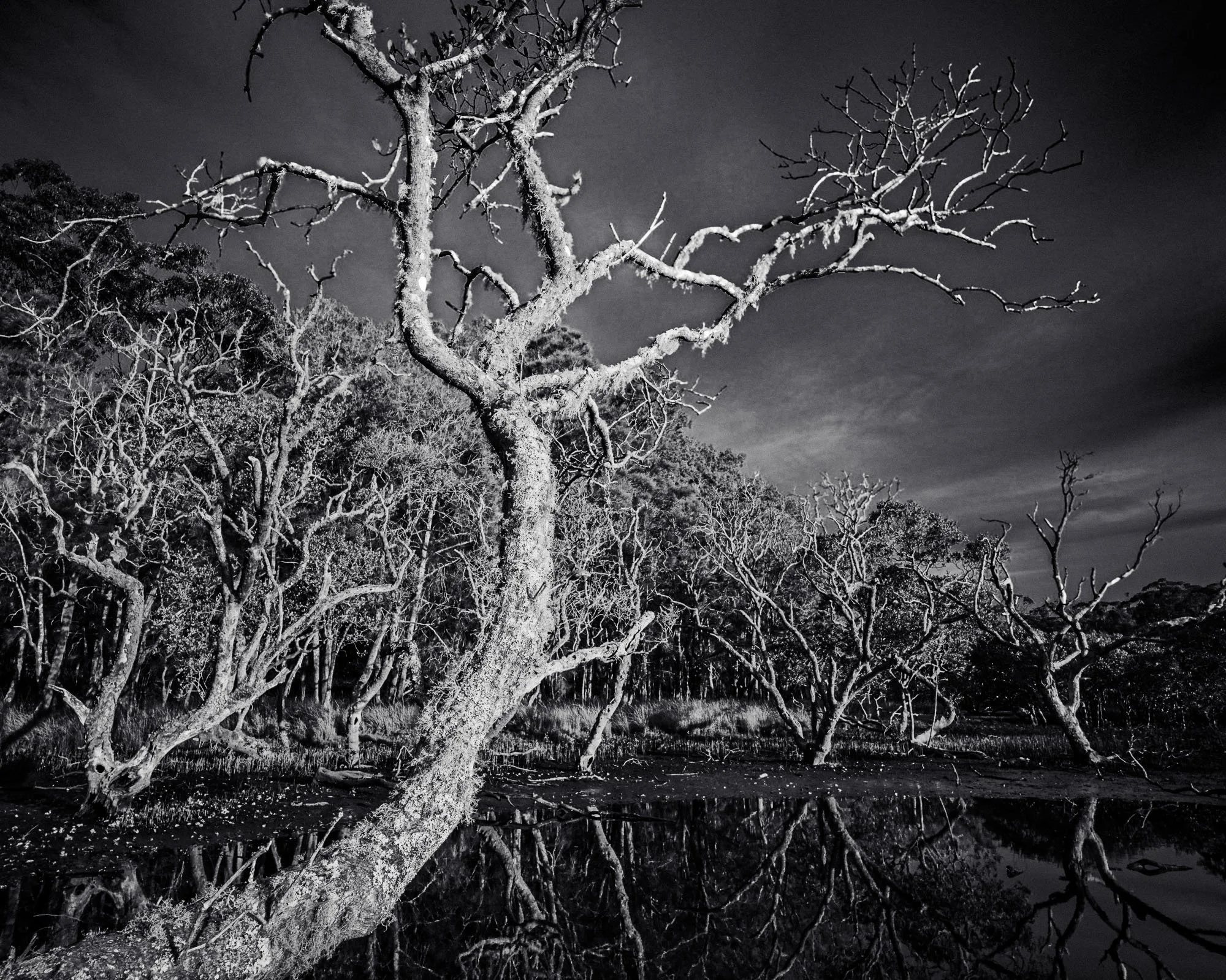 Untitled-113.jpg