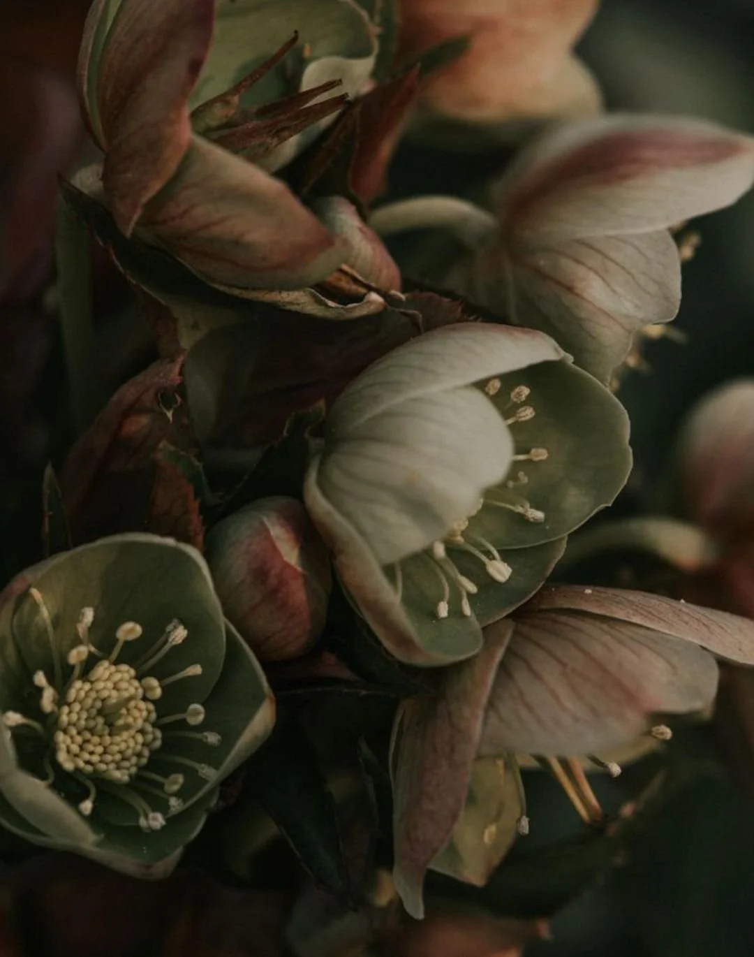 The Barakah Cheat Code for Muslim Entrepreneurs