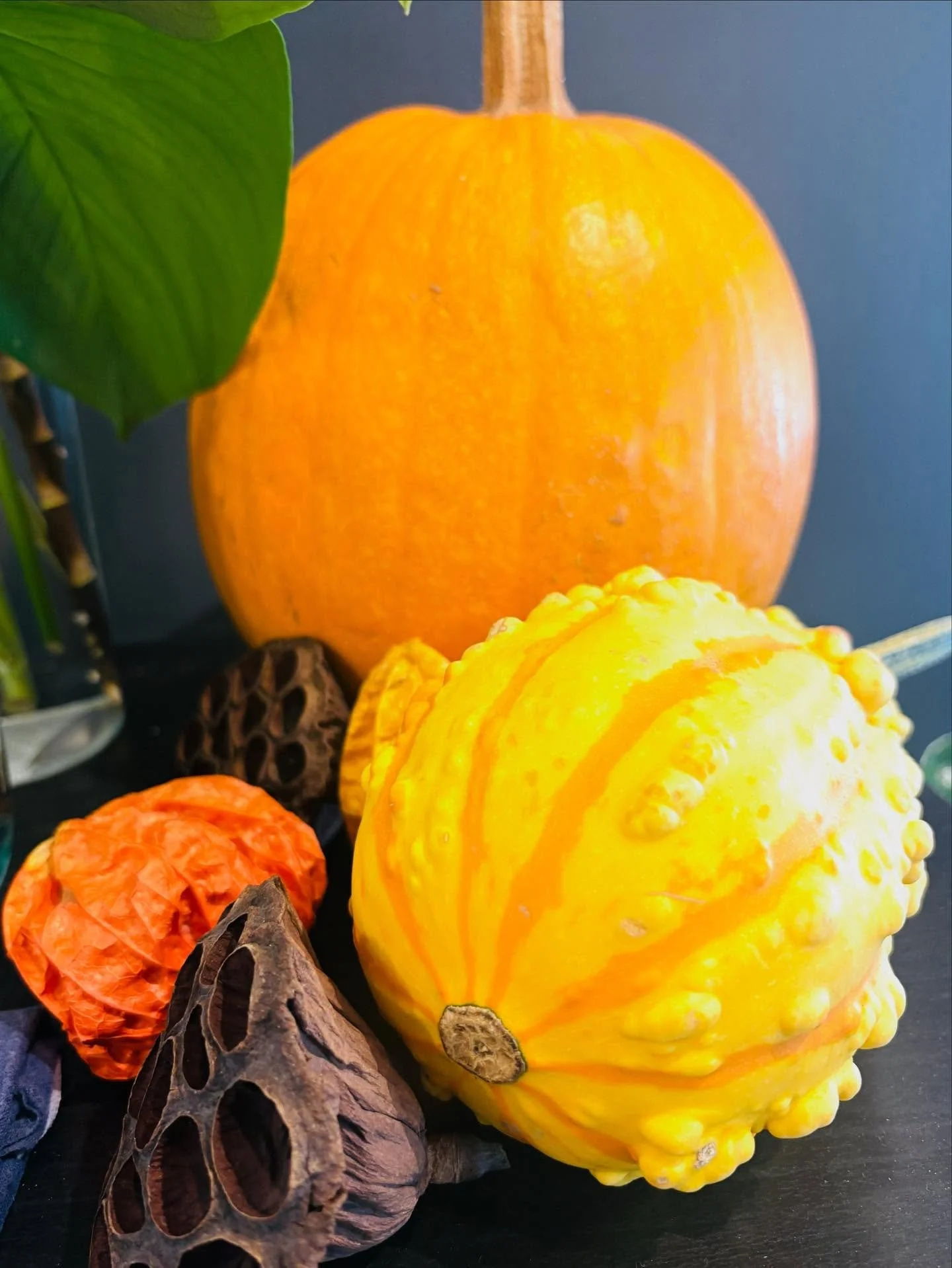 Giving thanks with elegant autumn nails 🧡🍂
Wishing you a wonderful Thanksgiving filled with love and gratitude.

#thanksgivingnails #autumnvibes #nycnailstyle #tokyonails #classynails #minimalnailart #azabujubannailsalon