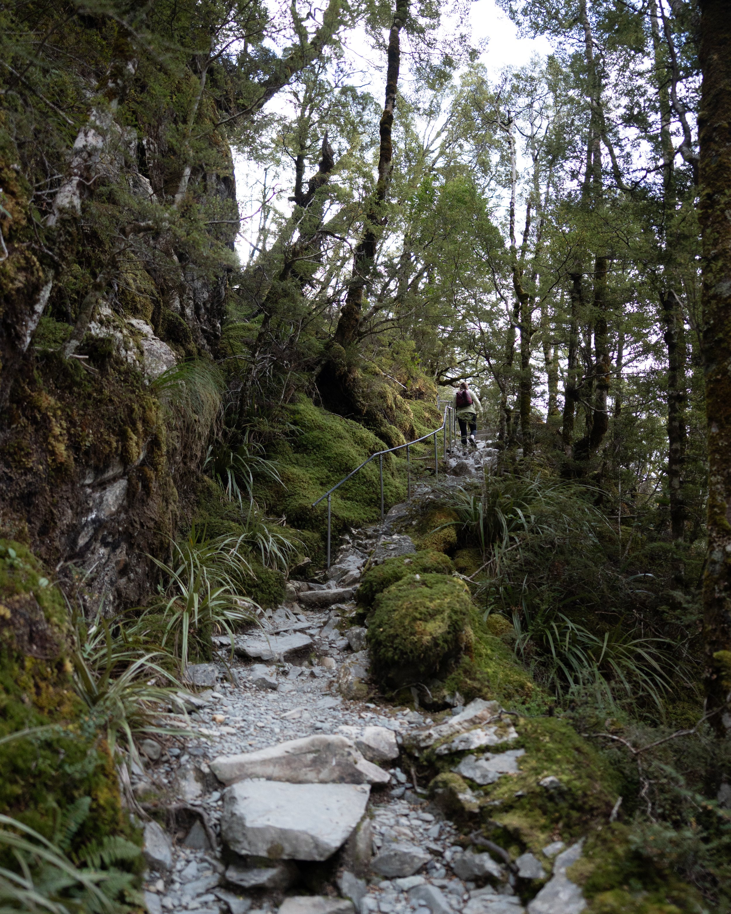 Routeburn-8.jpeg