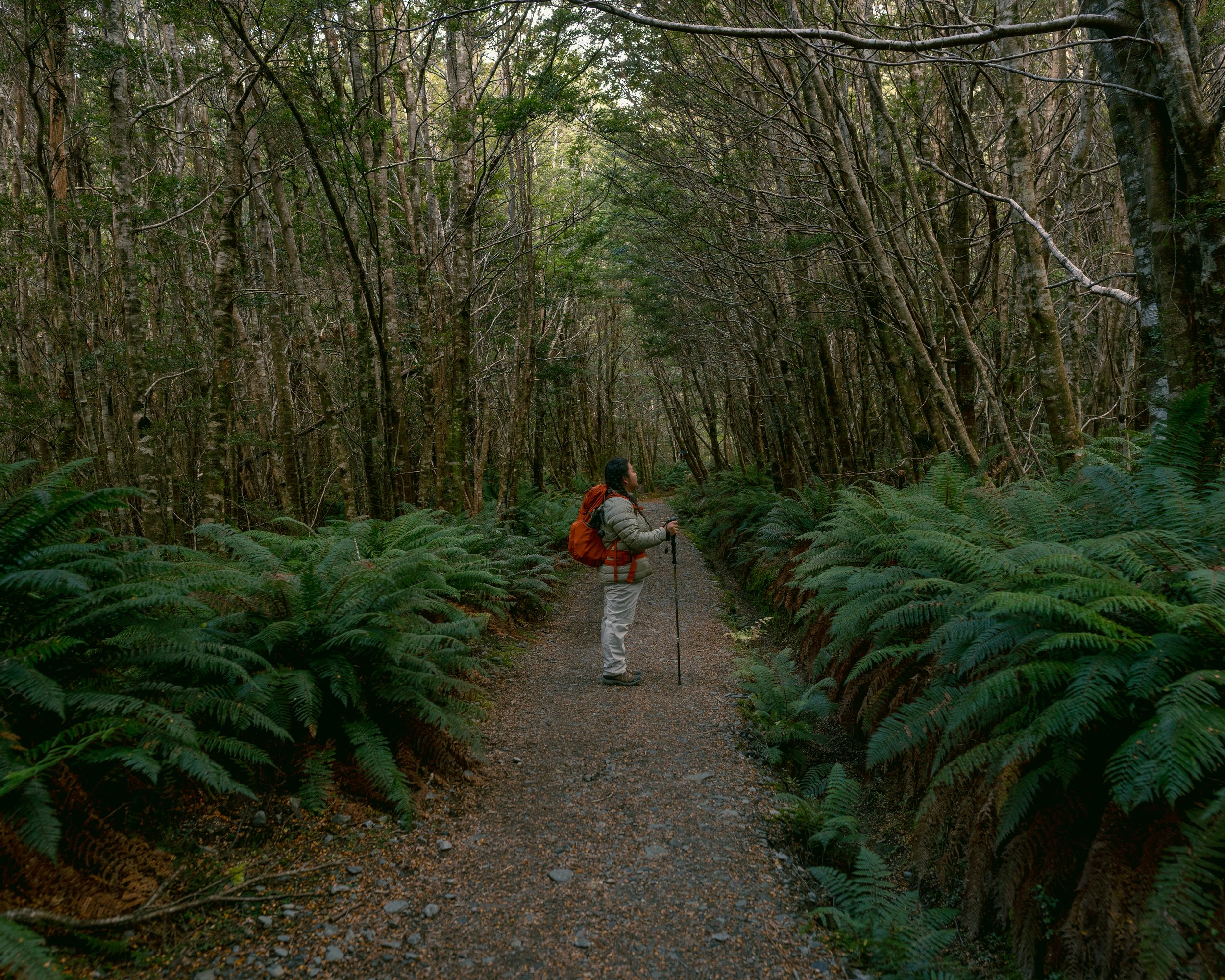 Routeburn-11.jpeg