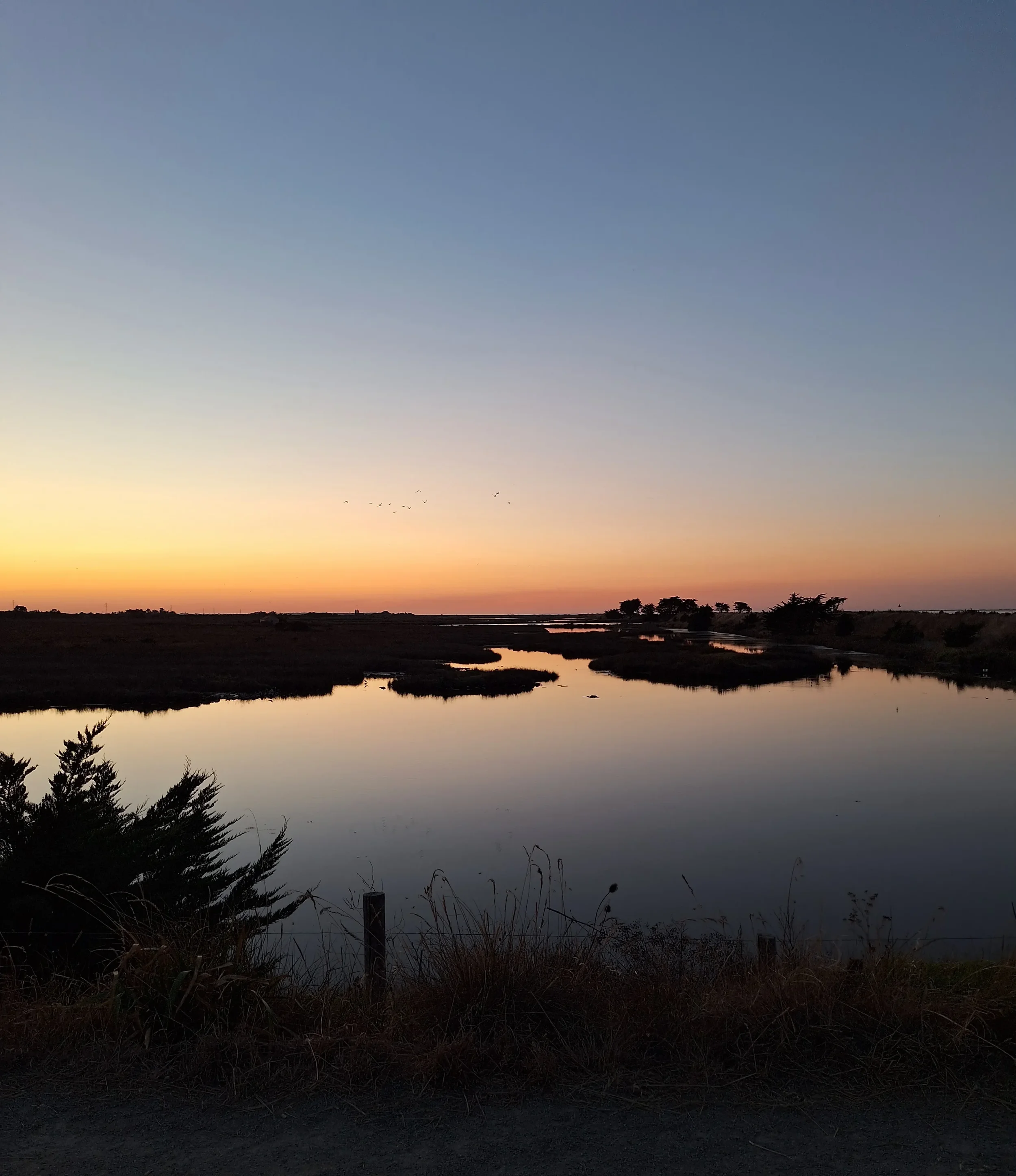 Barbâtre, Étang du Vide