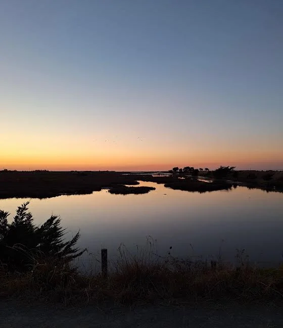 Barbâtre, Étang du Vide