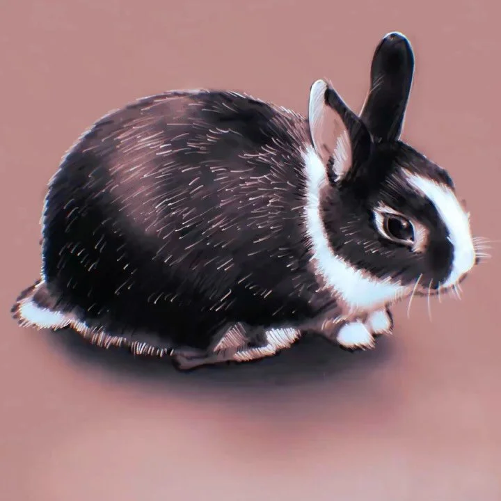 Painting Process! 🐰