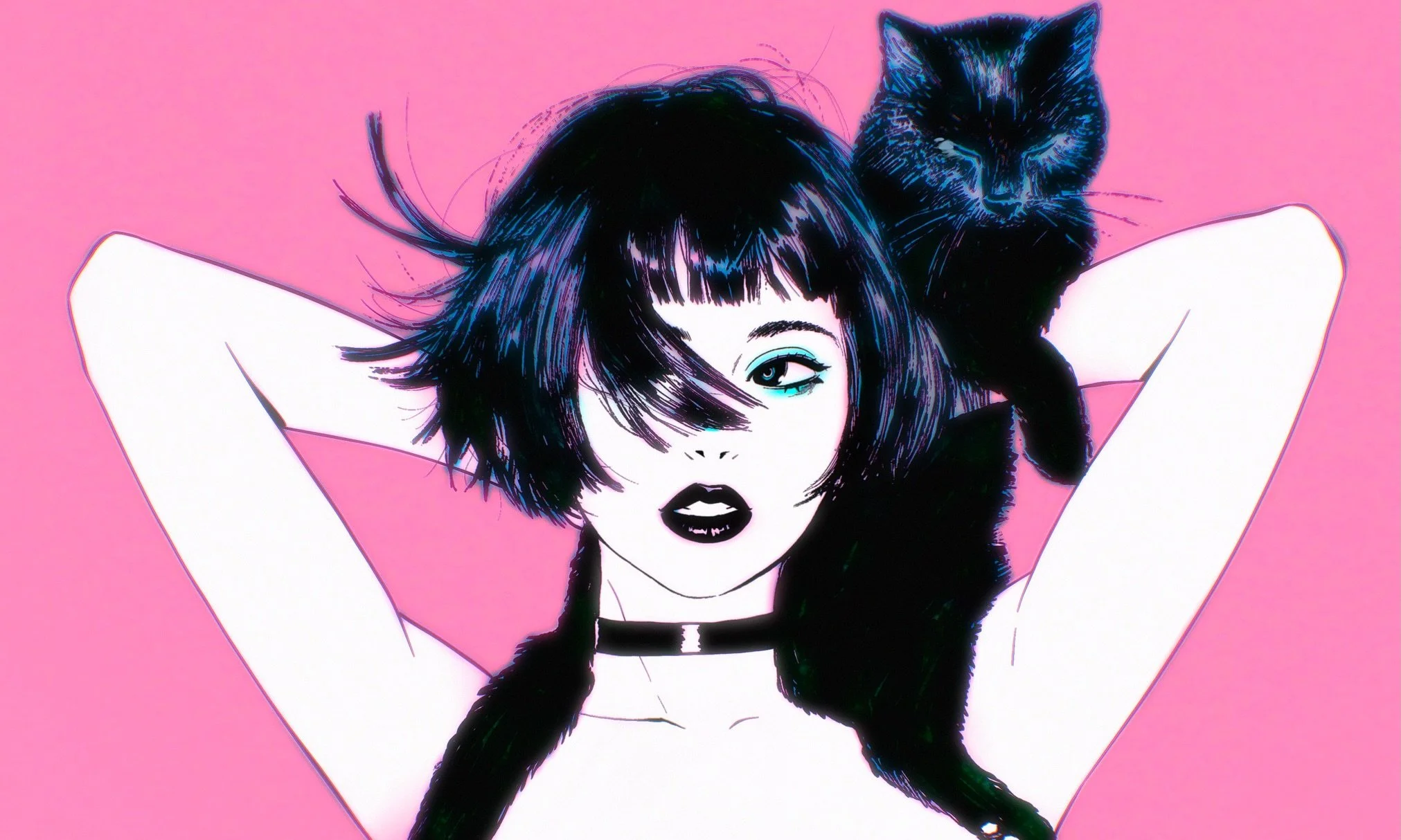 🐈&zwj;⬛