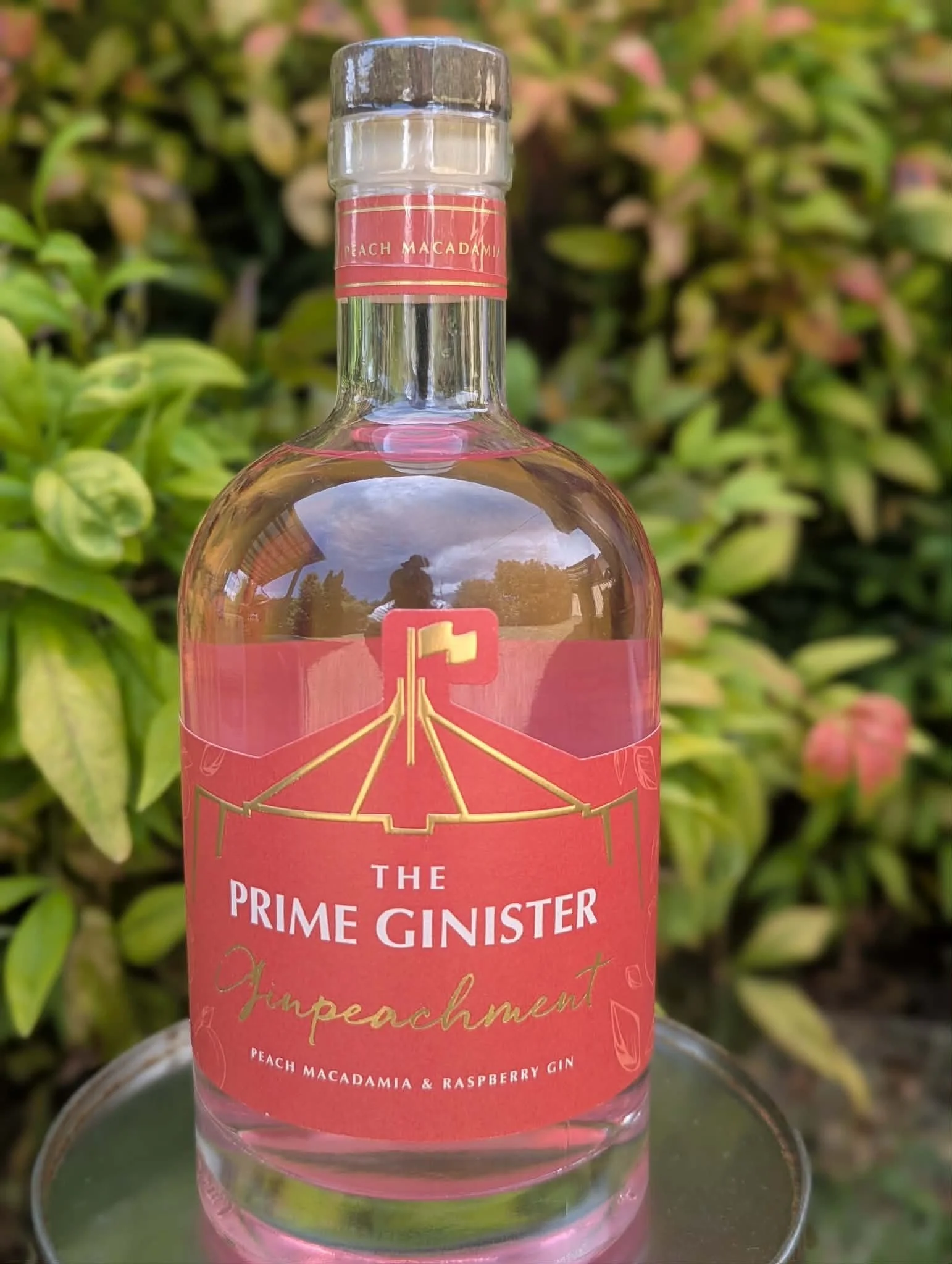 Ginpeachment - 700ml
