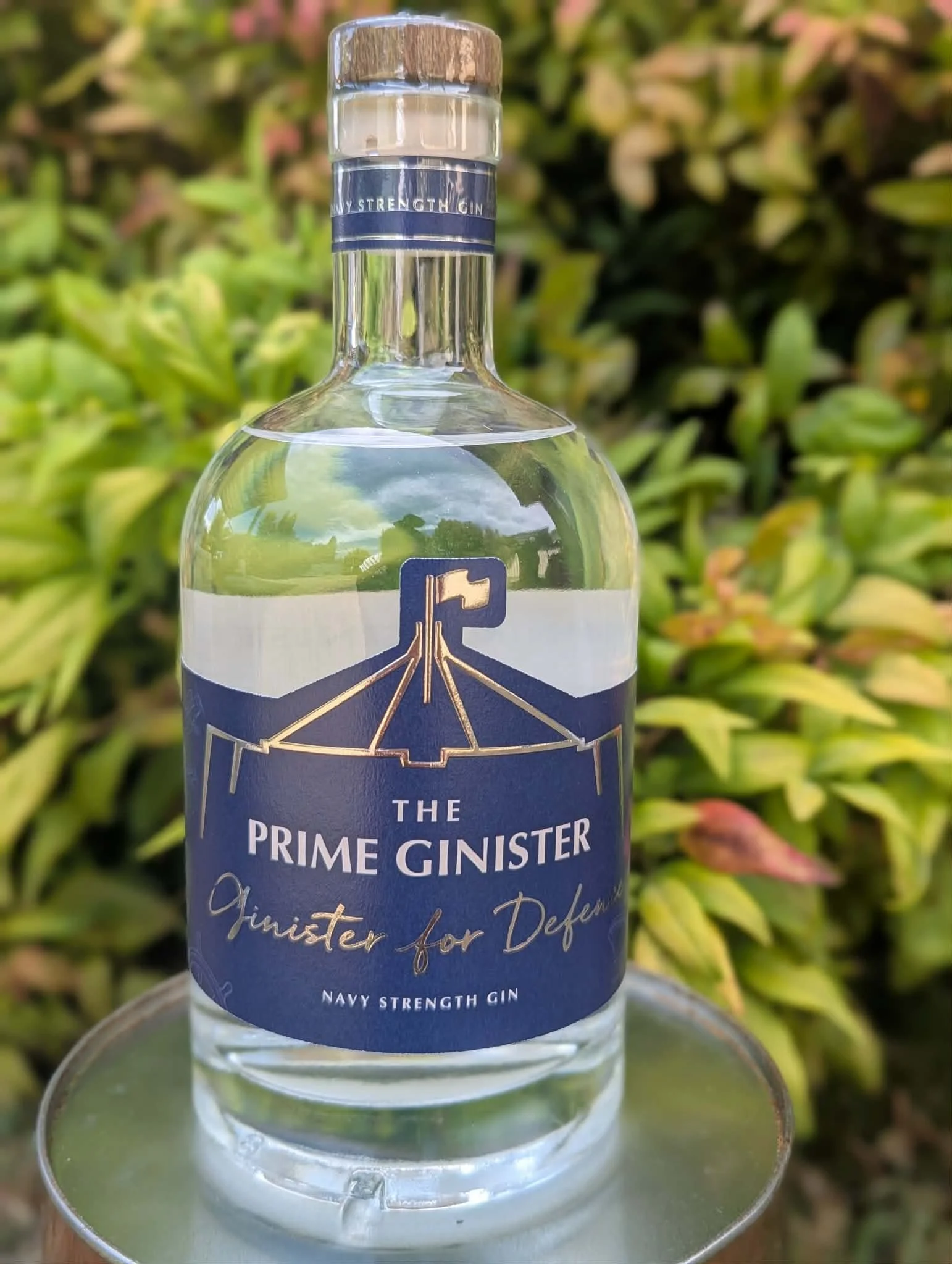 Ginister for Defence - 700ml