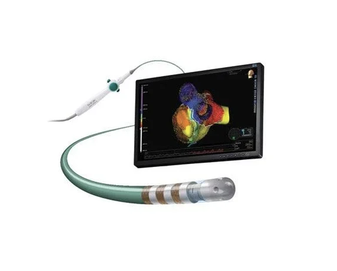 Colorful educational model of a human heart with detailed anatomy, displayed on a stand in a classroom or medical setting.