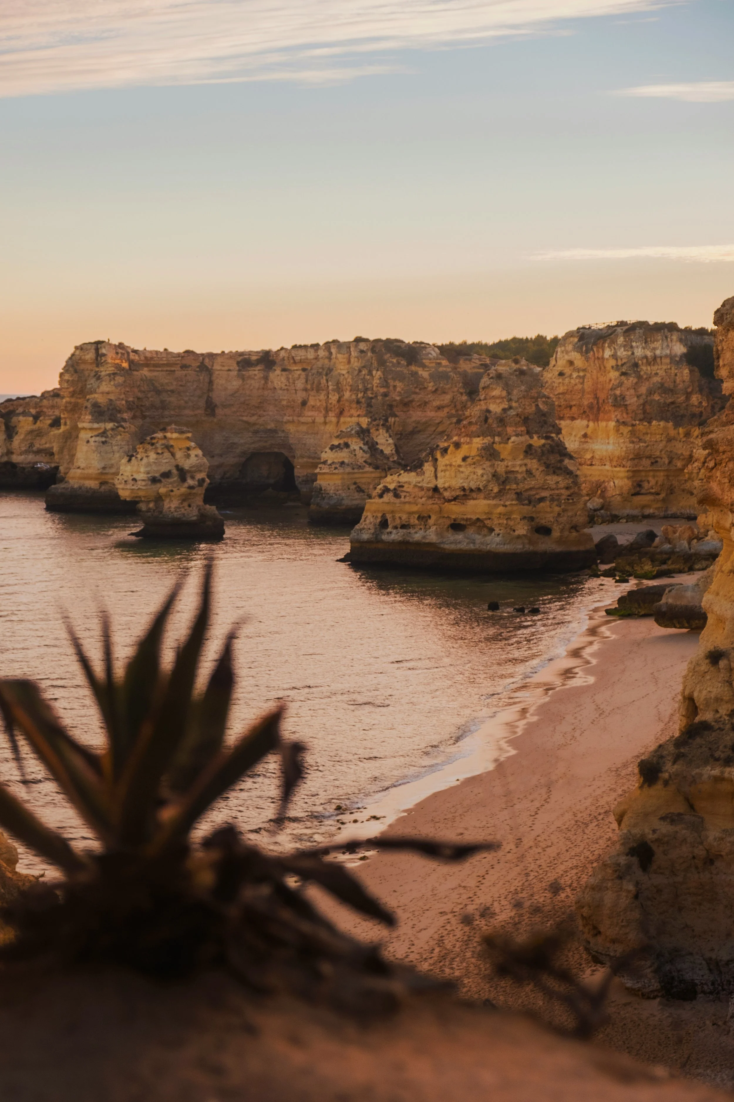 Coastal view of limestone cliffs and rock formations along a sandy beach during sunset with a slightly blurred plant in the foreground.