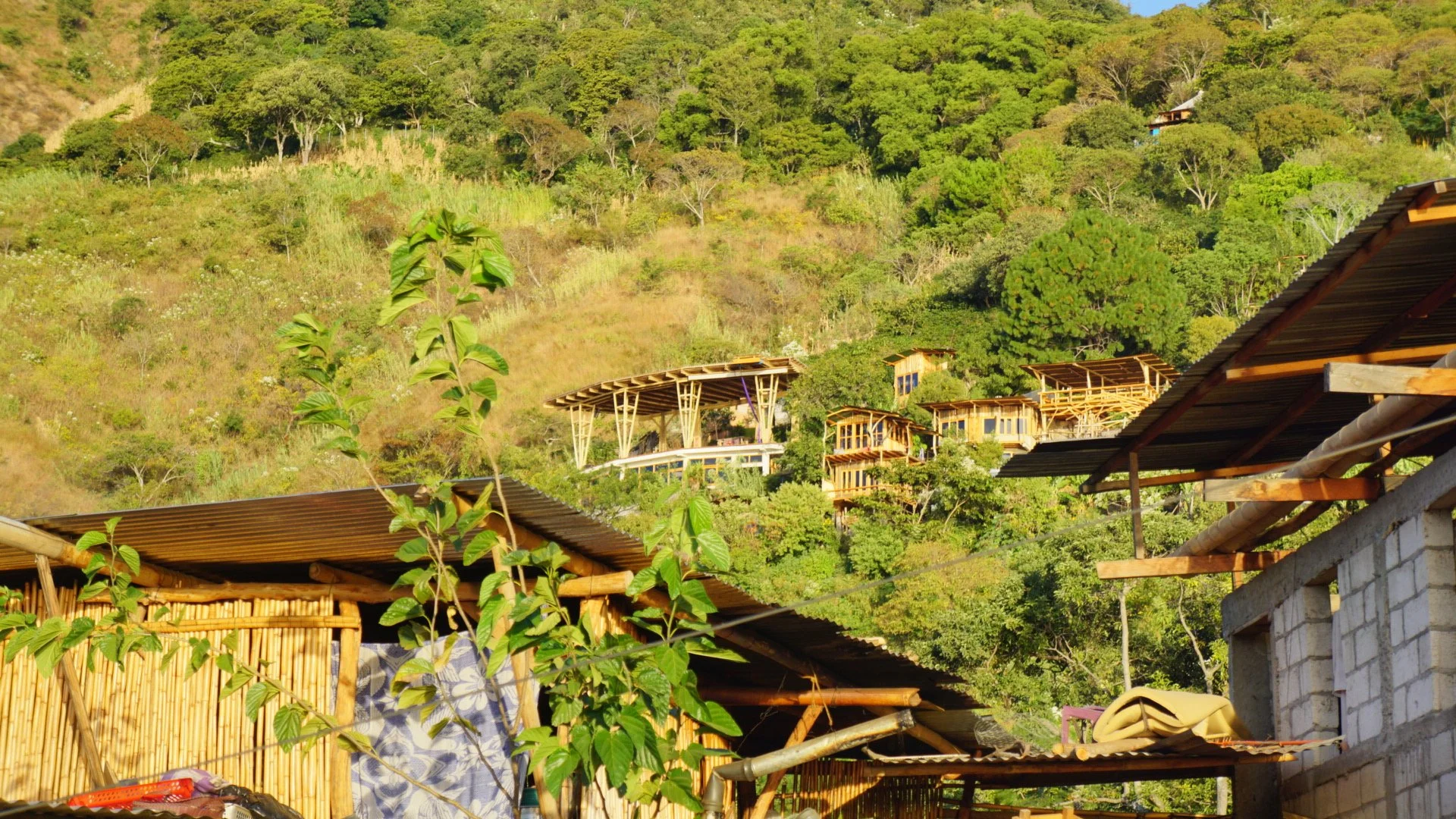 Hillside with numerous wooden houses on a green, forested slope, taken from a lower elevation with some plants and structures in the foreground.
