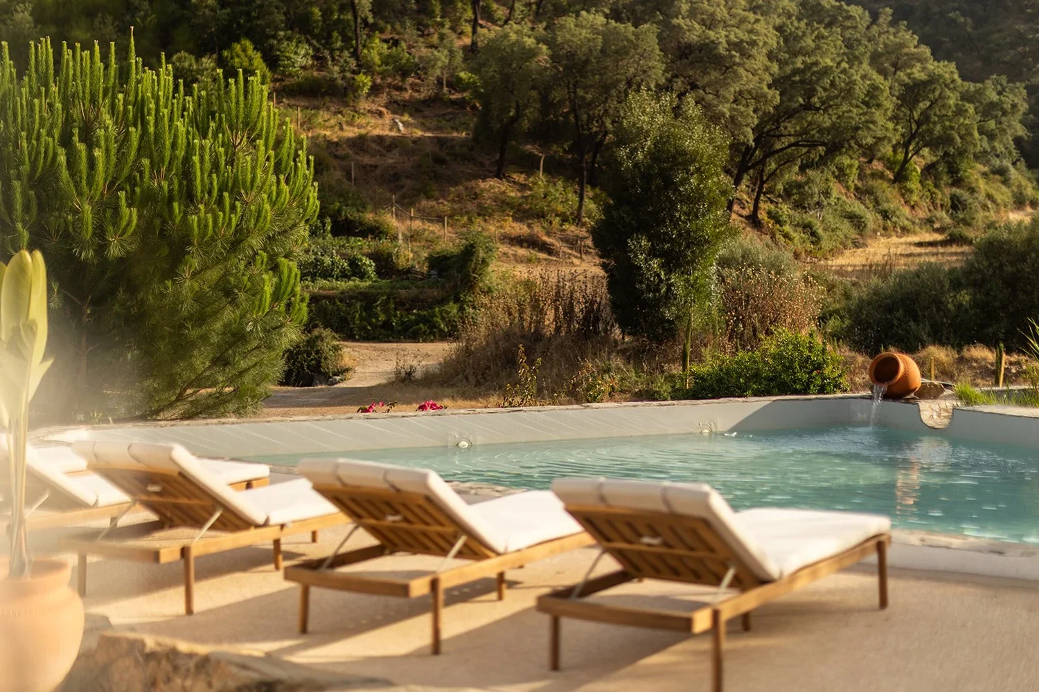 casa+de+cura+-+edit+2-128.jpg.webp