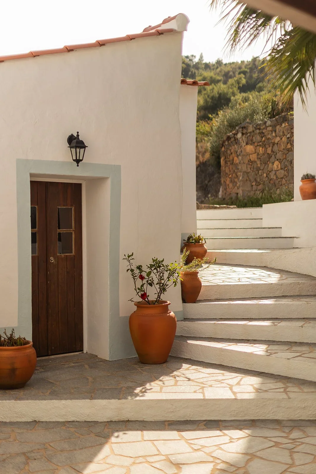 casa+de+cura+-+edit+2-124.jpg.webp