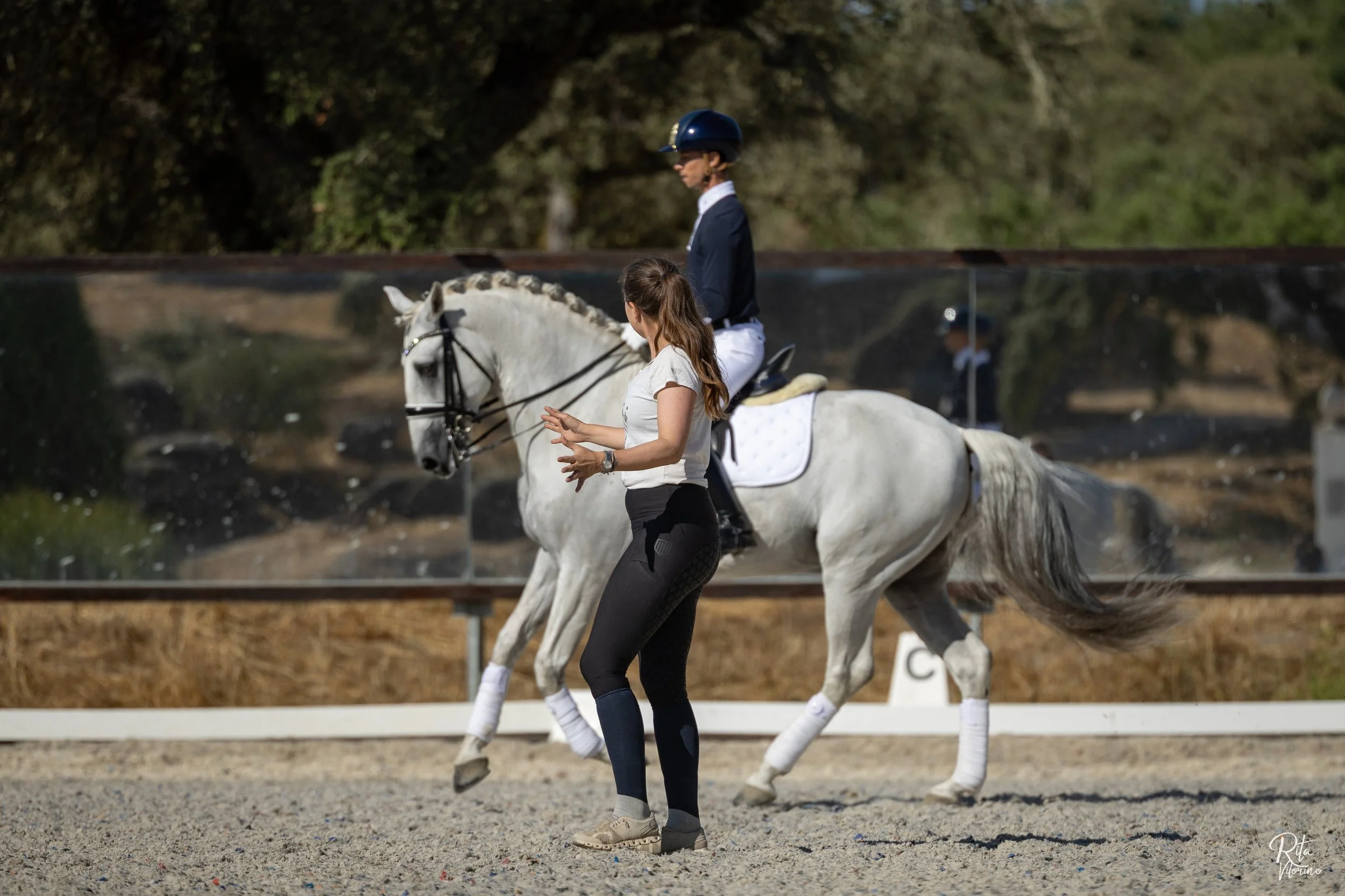 JoãoTorrão_MaximilianEquestrian_RvEquineImage_byRitaVitorino-8878.jpg