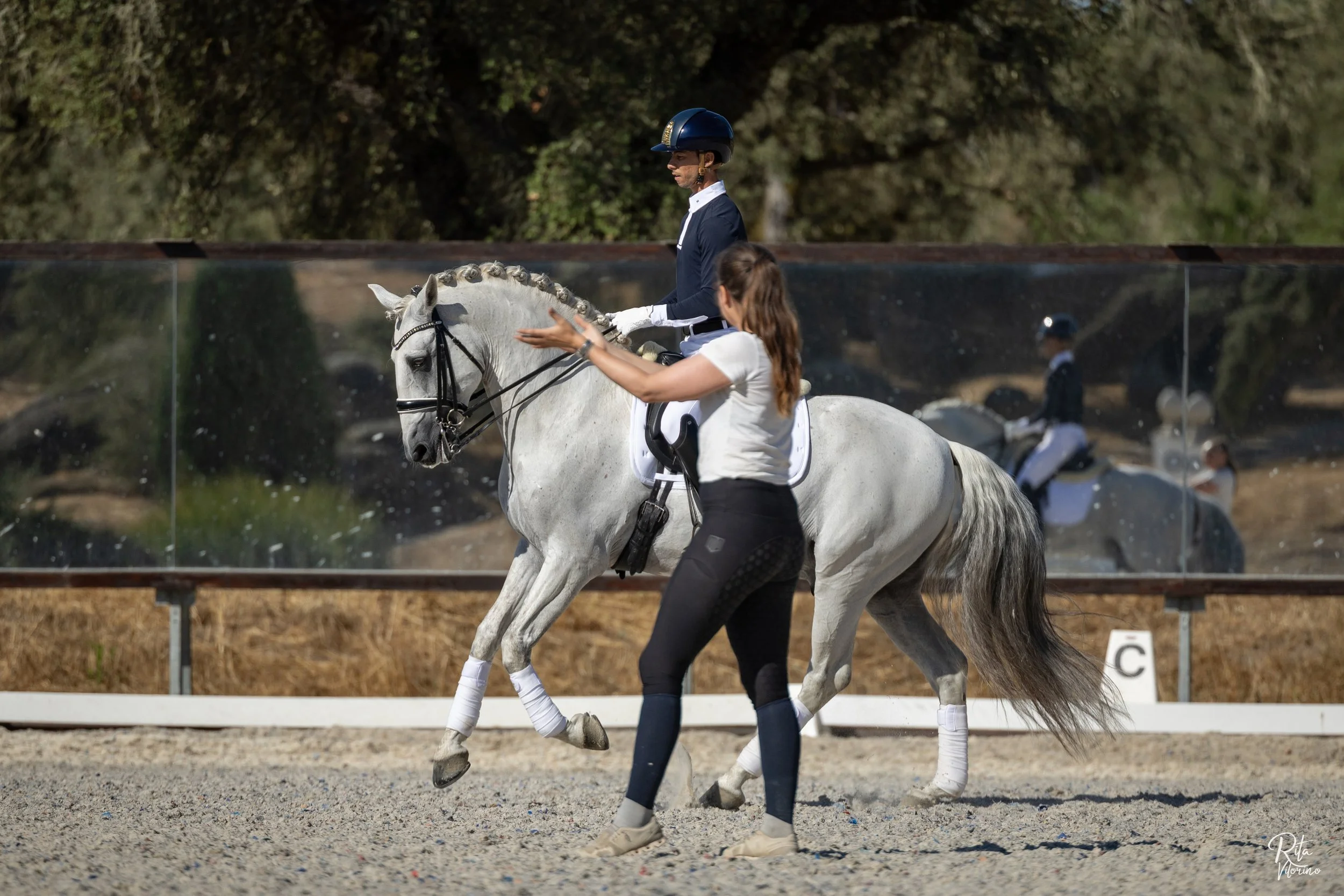 JoãoTorrão_MaximilianEquestrian_RvEquineImage_byRitaVitorino-8843.jpg
