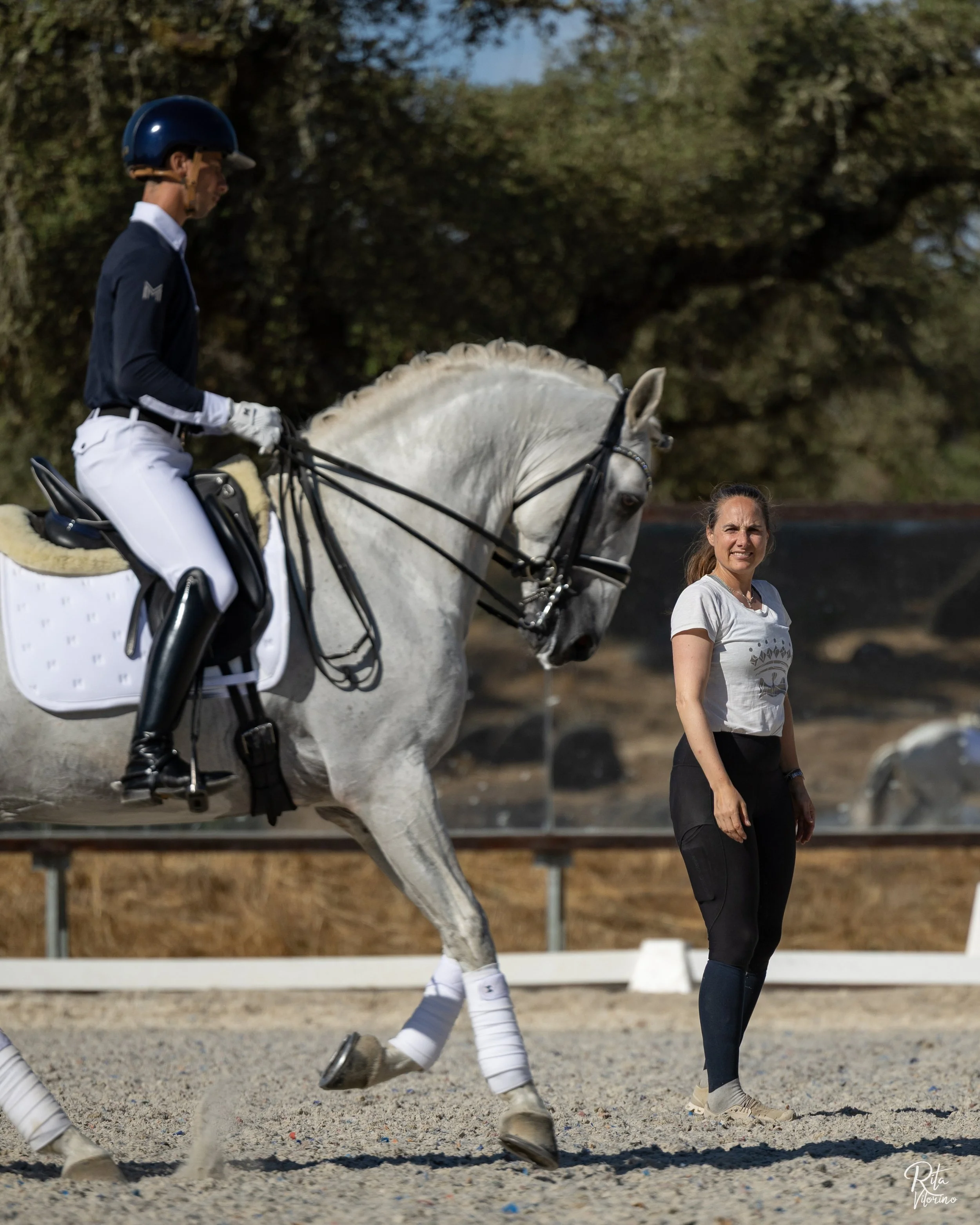 JoãoTorrão_MaximilianEquestrian_RvEquineImage_byRitaVitorino-8818.jpg
