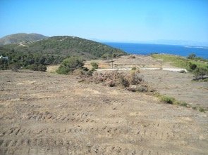 Picture2.jpg