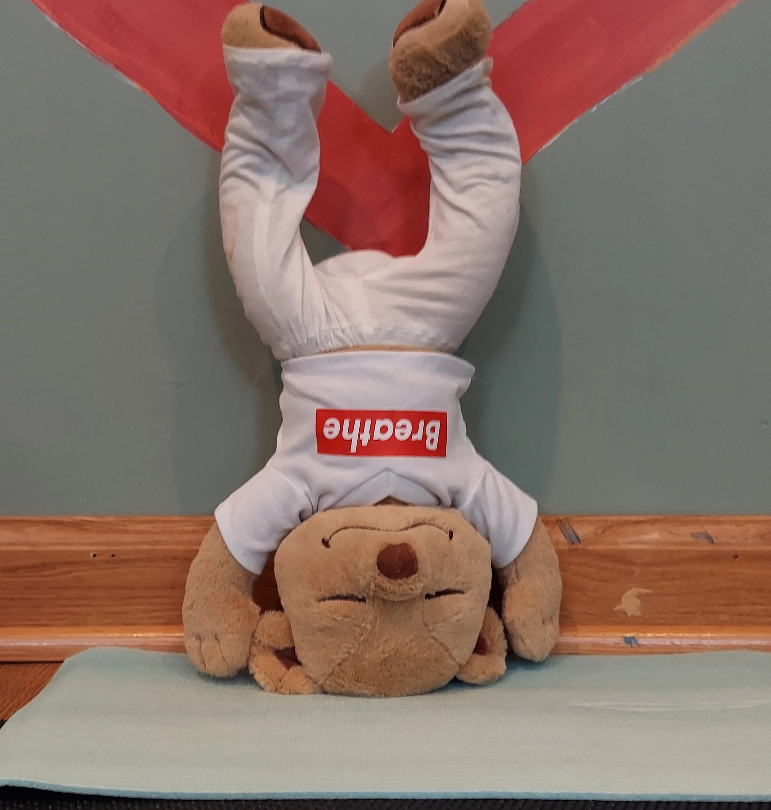 head_stand.jpg