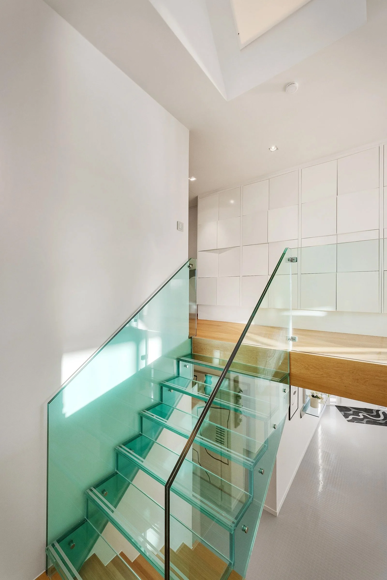 Ziggy and Cinderella.jpg