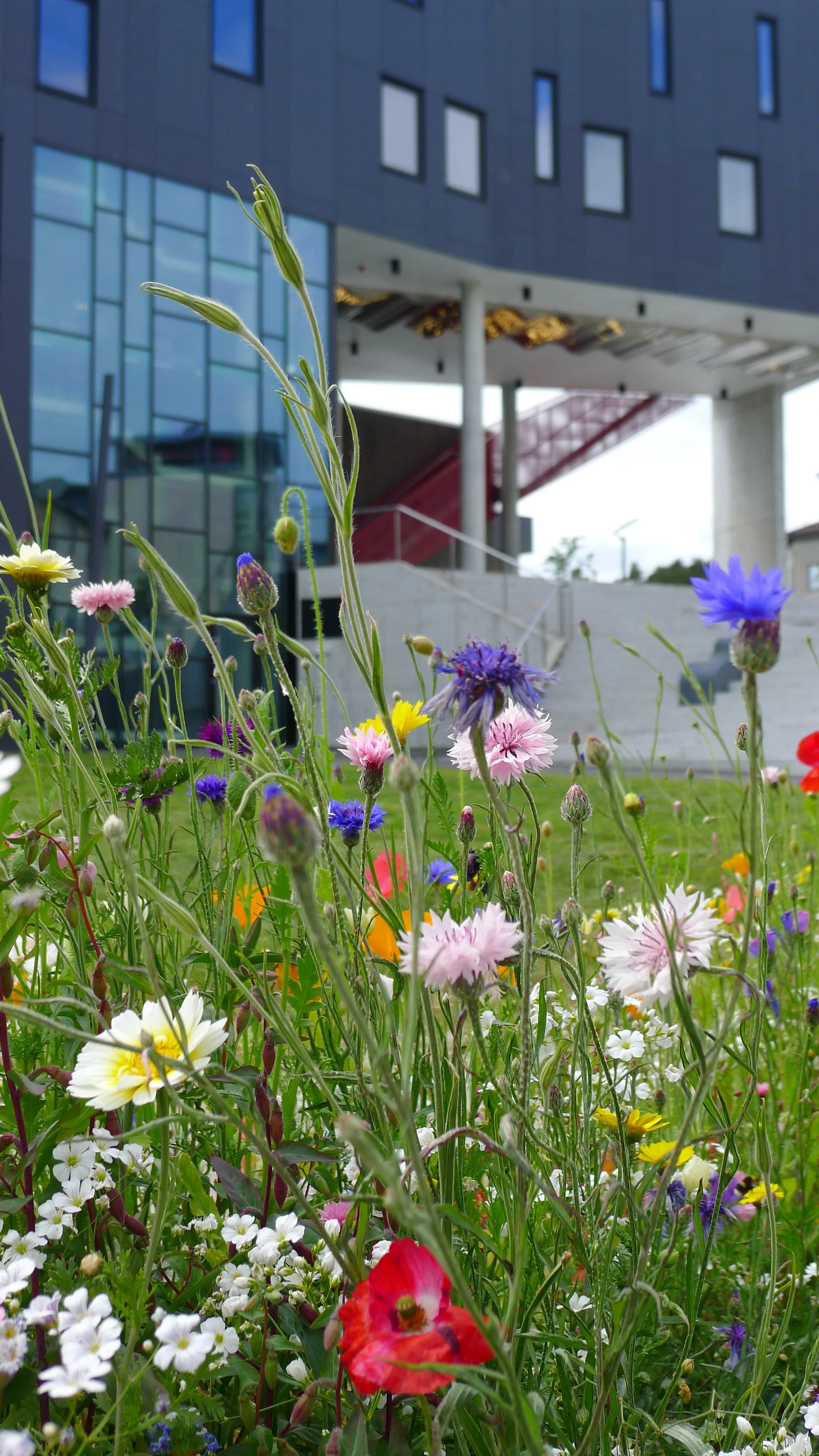 Cultural School, Music and Art, Husnes, Norway