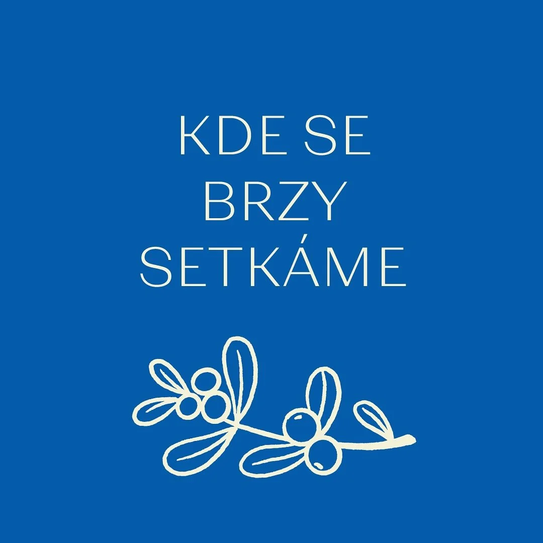 Už se nemůžeme dočkat prosince &mdash; ček&aacute; n&aacute;s p&aacute;r kr&aacute;sn&yacute;ch setk&aacute;n&iacute;, kde si spolu užijeme trochu t&eacute; prav&eacute; v&aacute;nočn&iacute; n&aacute;lady 🎄✨
Na vizu&aacute;lech najdete, kde se potk