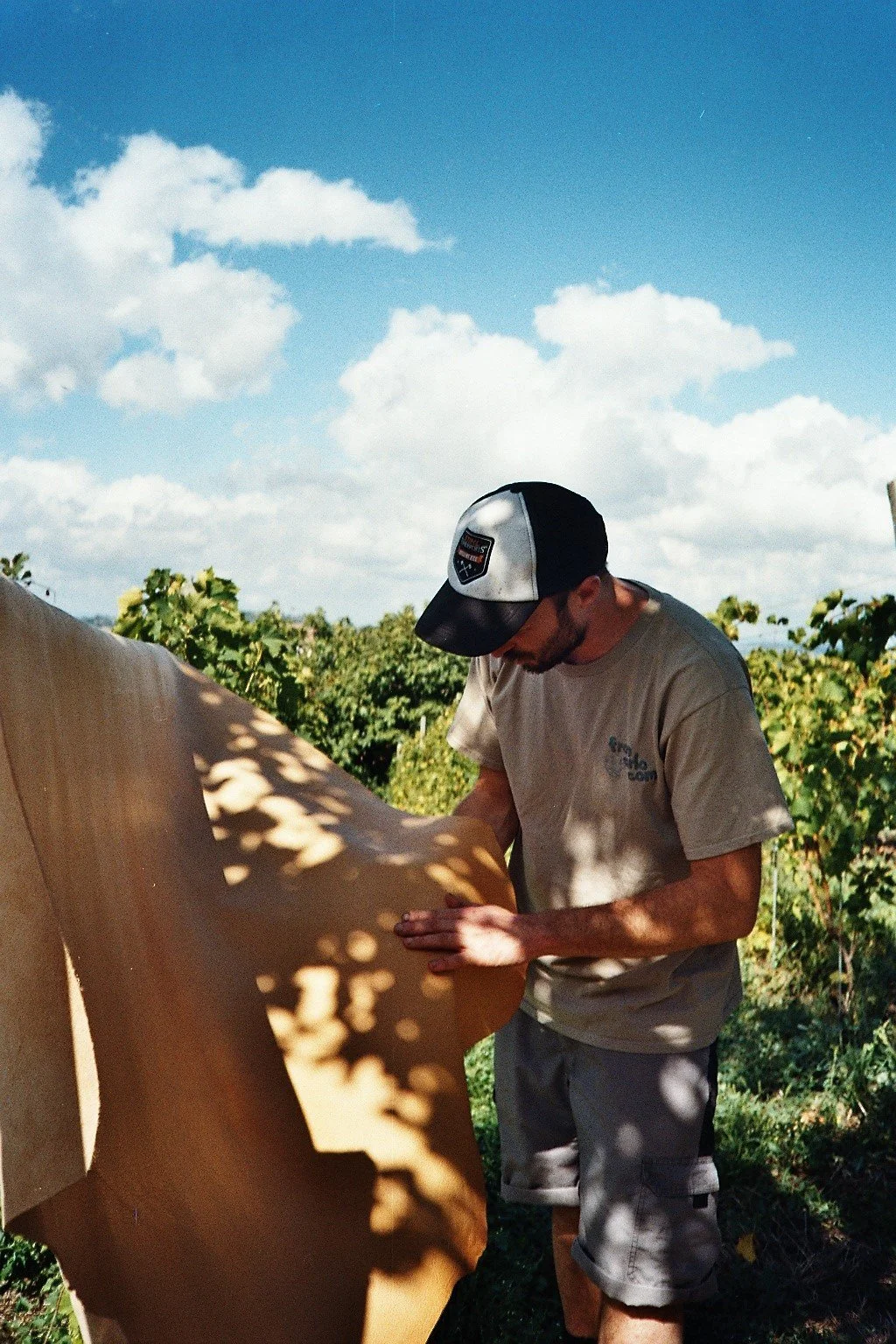 Man inspecting a large sheet of paper outdoors with trees and blue sky in the background.