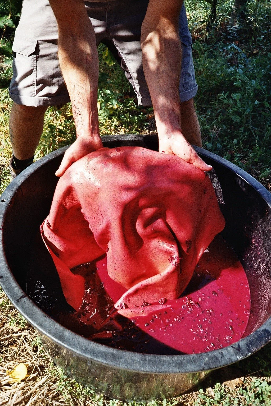Person scrubbing a large pink rubber feeding bag inside a black bucket outdoors.