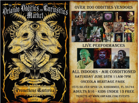 Orlando Oddities and Curiosities Market