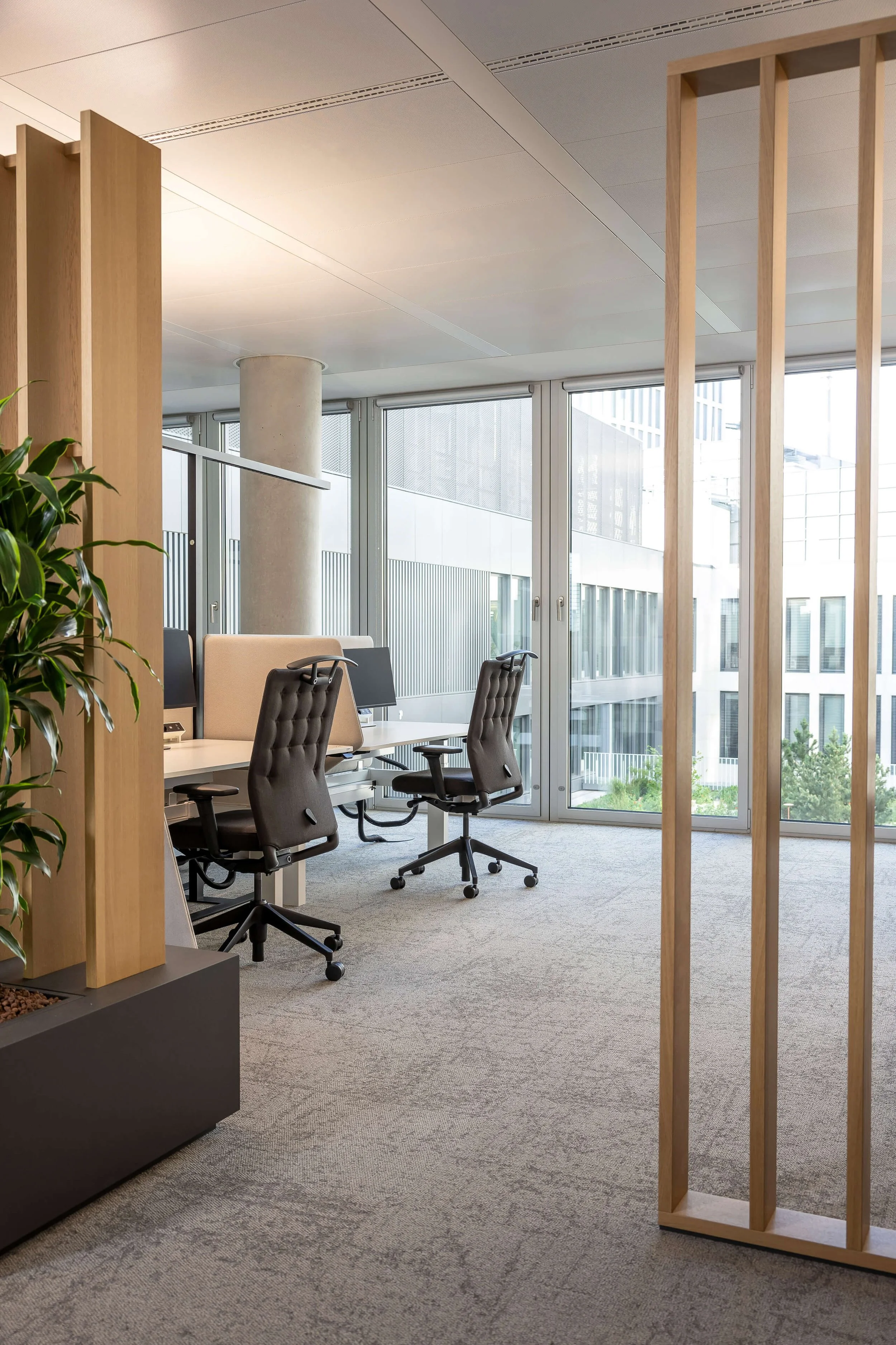 dewinder-consultancy-3.jpg