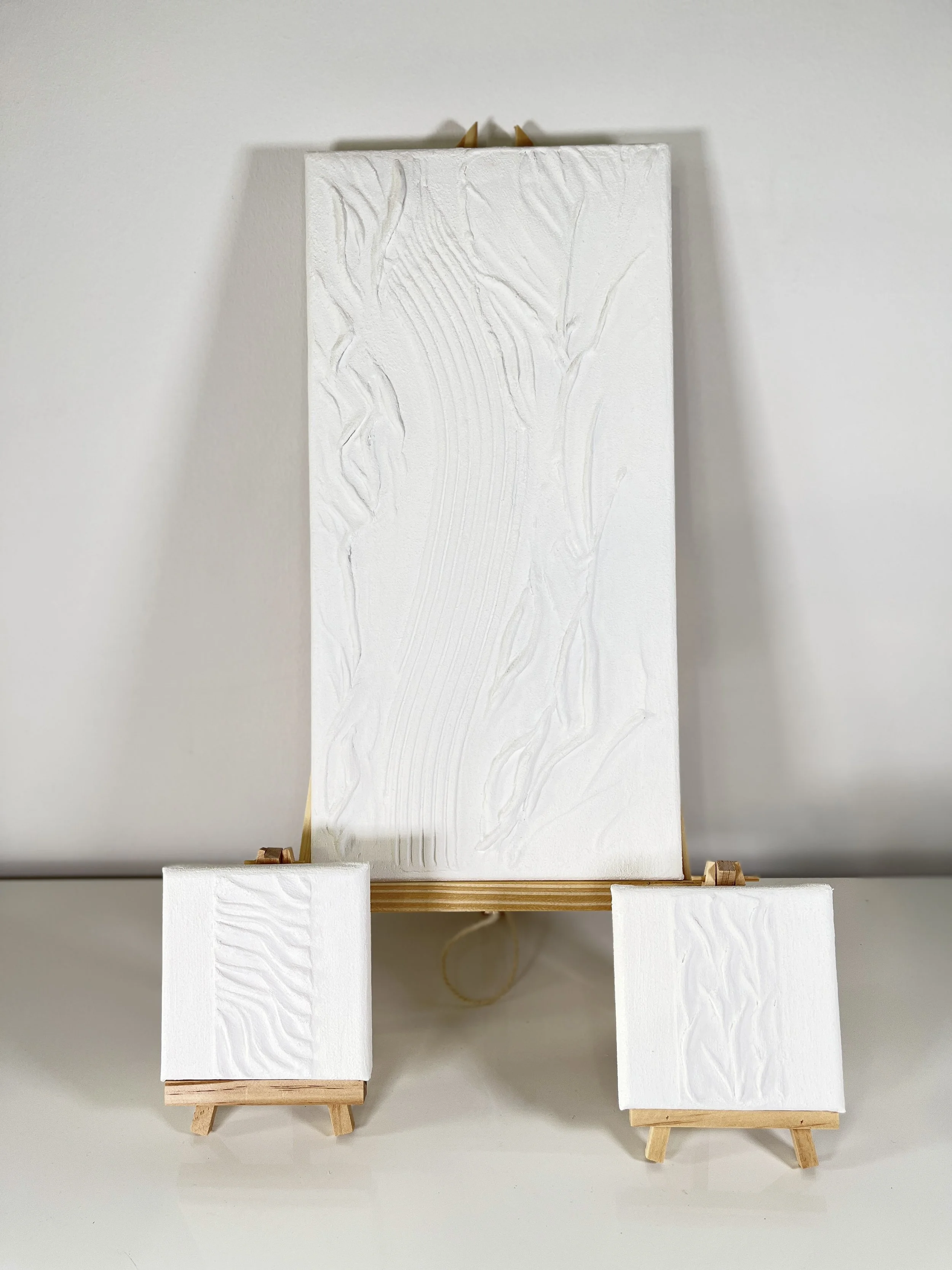 Relief blanc -  nature brute - tableau d'art texturé minimaliste