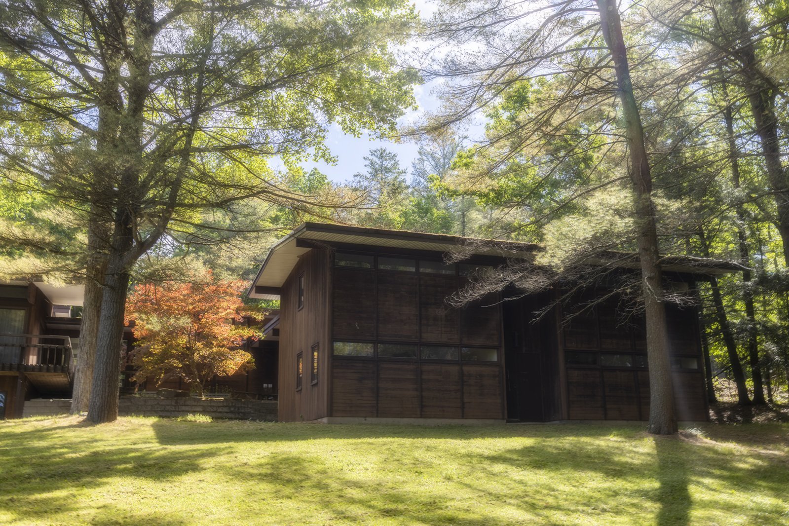 Modern brown wooden house surrounded by green trees and grass, with sunlight filtering through the leaves.