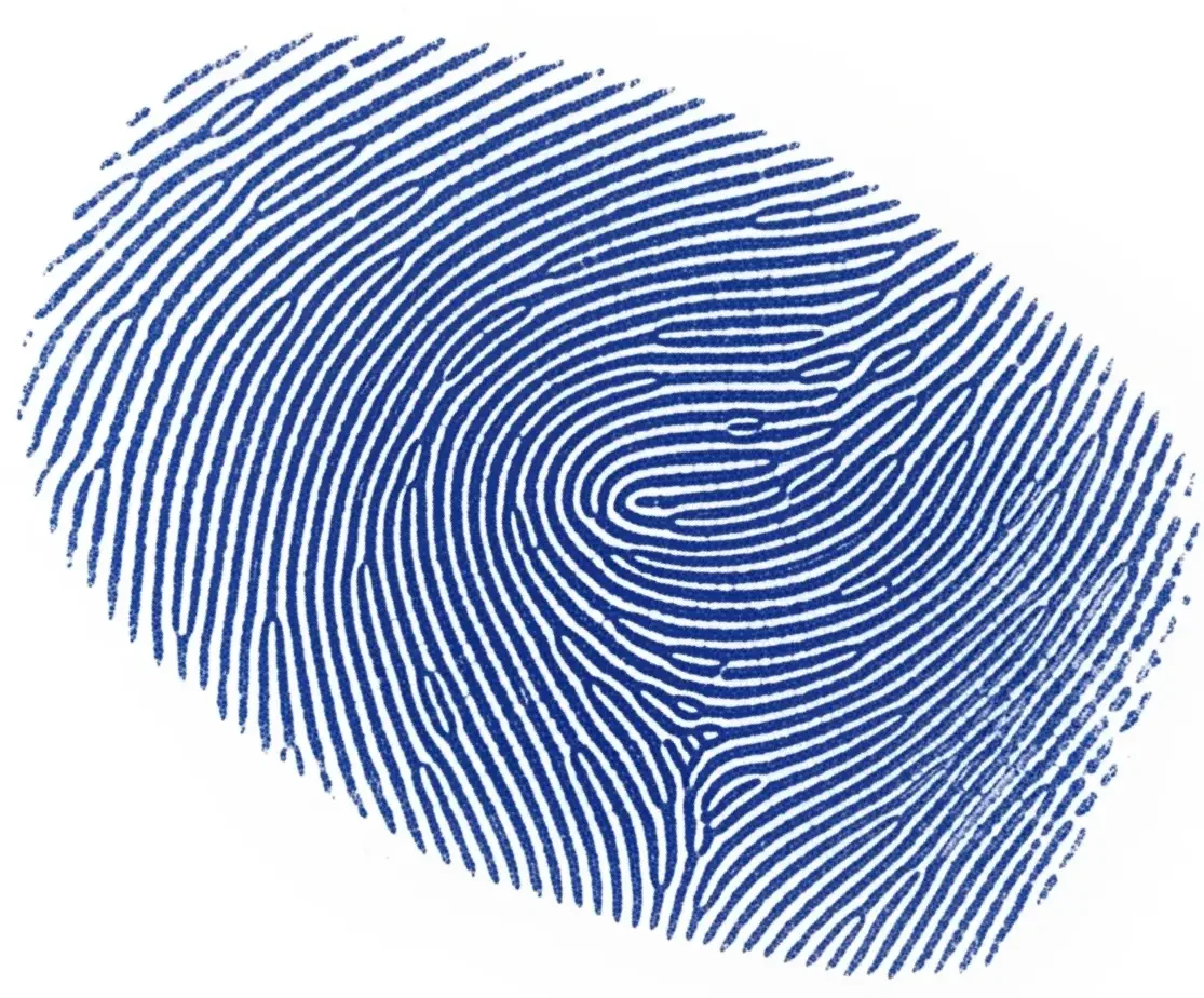 Blue fingerprint on white background.