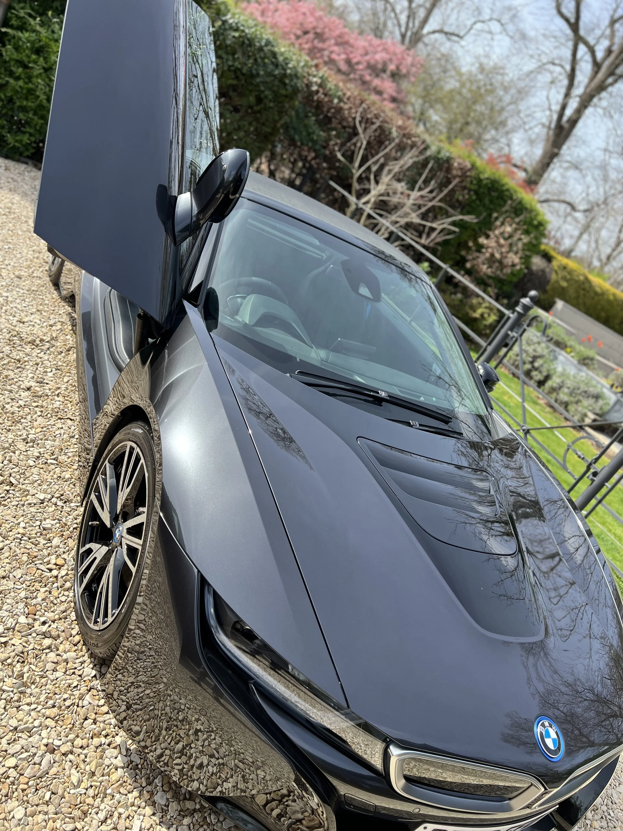 A sleek black BMW sports car parked on a gravel driveway, with flowering bushes and trees in the background.