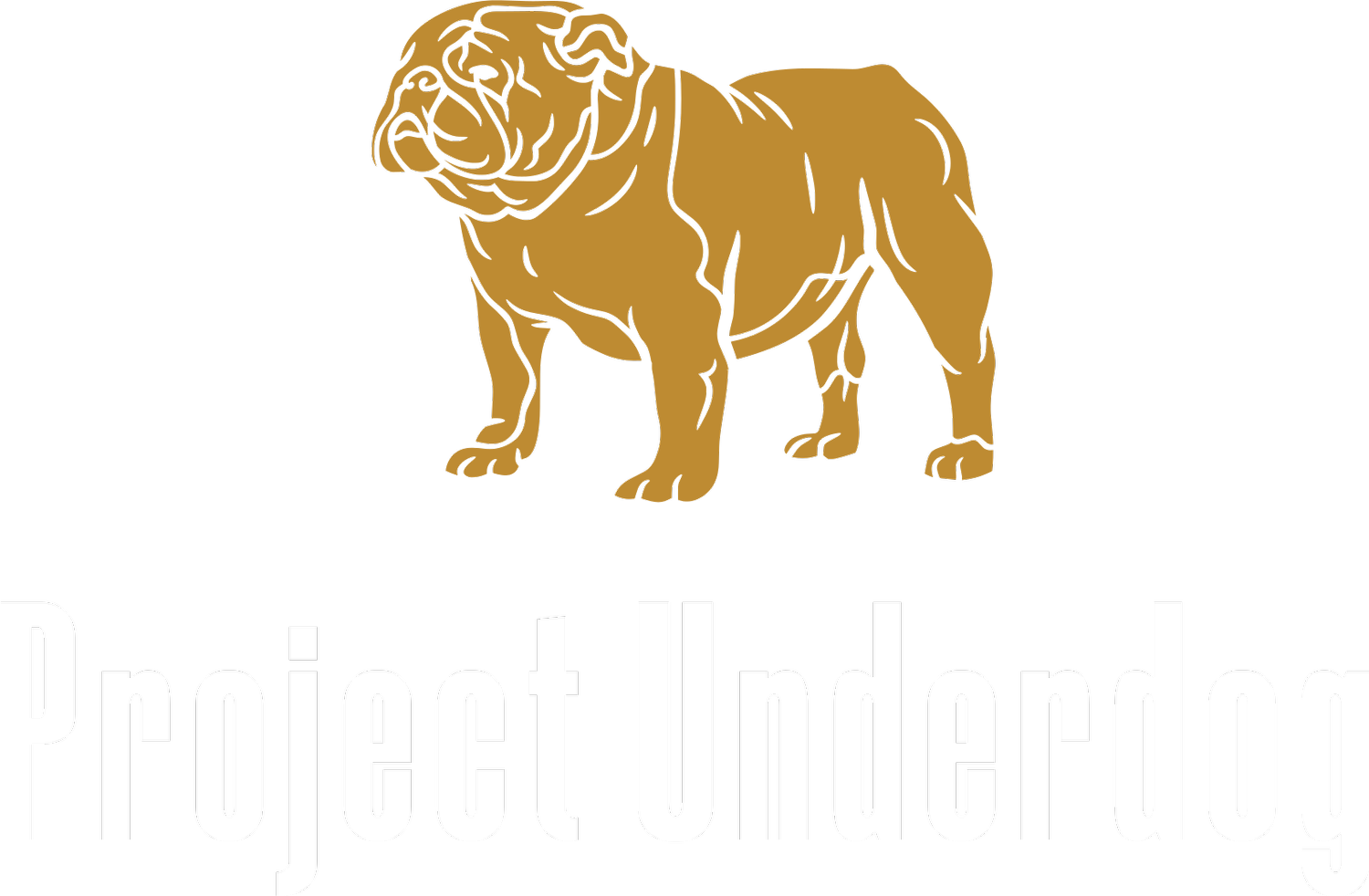 Project Underdog